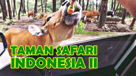 Bersafari Di Taman Safari Indonesia 2 Prigen Pasuruan Youtube