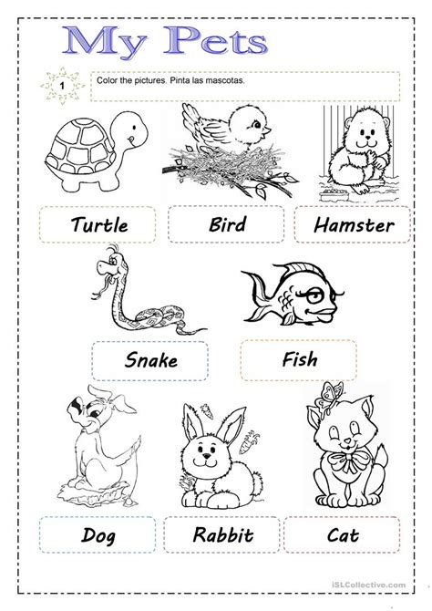 Pet Animals Worksheet For Kindergarten