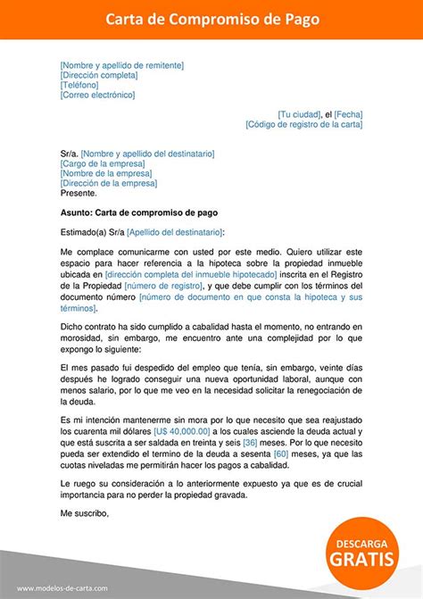 Modelo De Carta De Compromiso De Entrega De Bienes Peter Vargas Ejemplo