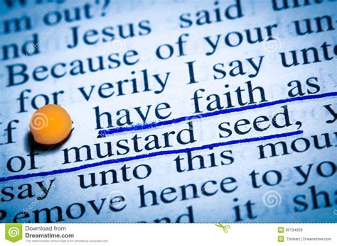 Pretty words beautiful words cool words wise words bible verses quotes jesus quotes faith quotes prayer quotes encouragement. Faith As Mustard Seed Royalty Free Stock Images - Image ...