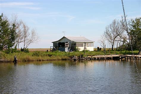 You will love the pristine surroundings in this sportsman's paradise. Best Swamp Cabin Stock Photos, Pictures & Royalty-Free ...