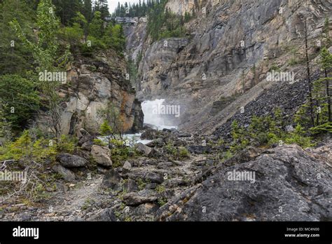 White Falls Berg Lake Trail Mount Robson Provincial Park British