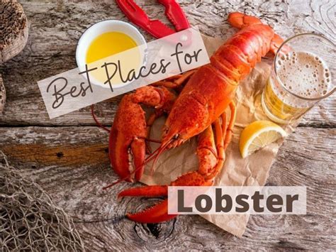 Best Lobster in Camden Maine and Mid Coast Maine