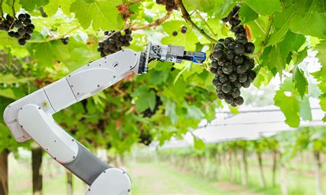 How Will Agri Tech Revolutionise Farming In The Future
