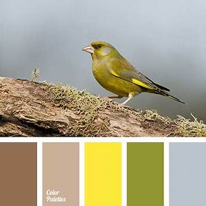Color Of Canary Color Palette Ideas