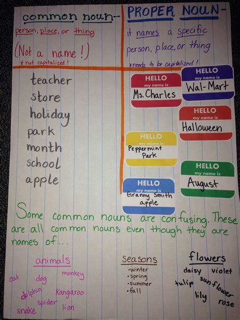 Common And Proper Nouns Anchor Chart