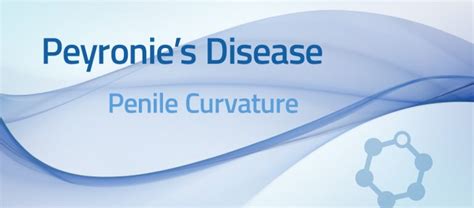 Peyronies Disease Curved Penis Assoc Urological Specialists