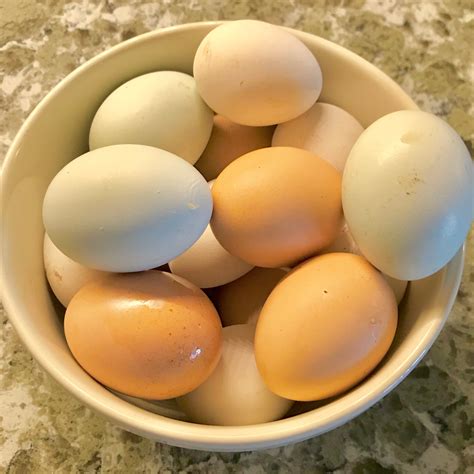 7 Ways To Preserve Fresh Eggs And 13 Ideas For Using Extra Eggs