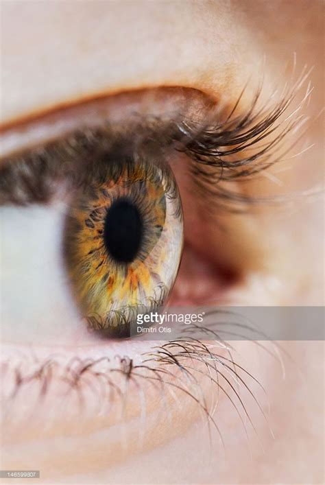 Close Up Of A Human Eye Side View Eye Close Up Eye Photography Eye