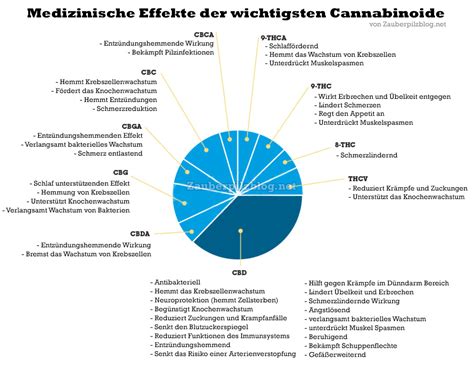 Cbd kann bei einer reihe von erkrankungen hilfreich sein, genauso ist sein nutzen durch verschiedenste studien belegt. CBD Öl kaufen und legal bestellen - Größter deutscher ...