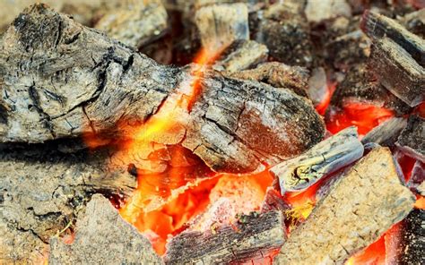 Fire Closeup Of Pile Wood Burning With Flames Stock Photo Image Of