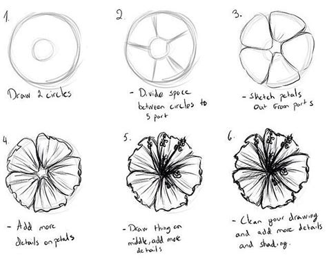 Draw A Flower Flower Drawing Tutorials Flower Drawing Drawings