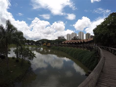 Photos, address, and phone number, opening hours, photos, and user reviews on yandex.maps. Conheça o Jardim Botânico de Curitiba | Qual Viagem
