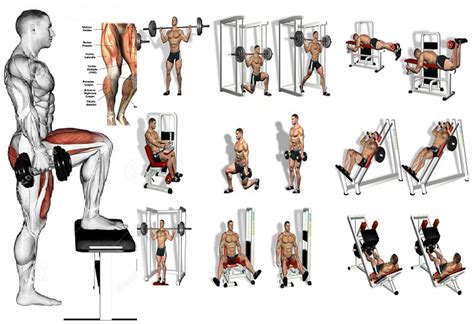 It's no easy feat but you'll start of. 5 Leg Workouts - A Beginner's Guide! - Fitness Workouts ...