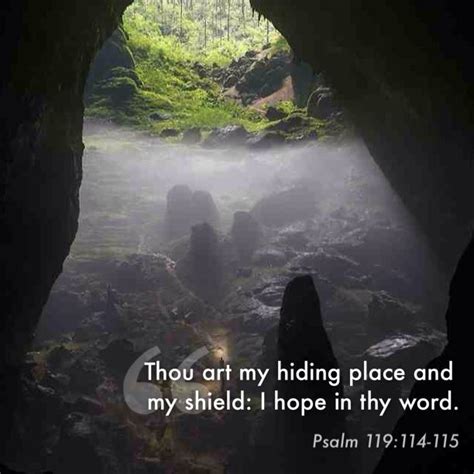 Image Result For Psalm 119114 Thou Art My Hiding Place And My Shield