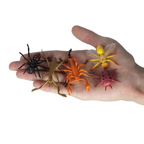 Simulation Insect Model 12 Sets Of Childrens Science And Education
