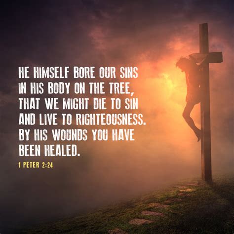 He Himself Bore Our Sins In His Body On The Tree Sermonquotes