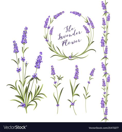 We did not find results for: Botanical bundle vector image on (With images) | Lavender ...