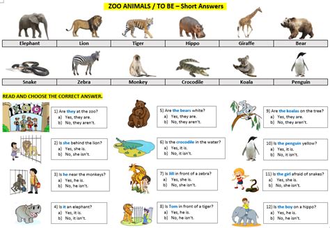 English Corner: Zoo animals / To Be - Short Answers : Presentation