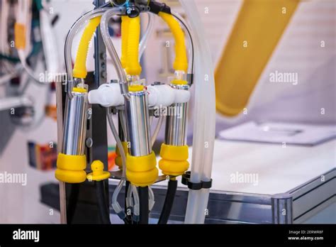Teat Cups Of Automated Cow Milking Suction Machine At Exhibition Close Up Stock Photo Alamy