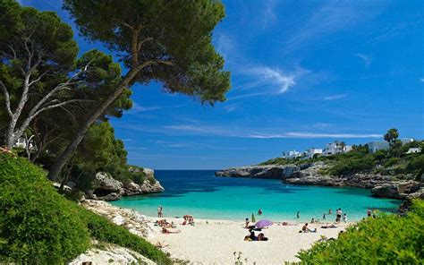 Głównym miastem i stolicą wyspy jest palma de mallorca. Majorka | Leto 2020 | Viva Travel
