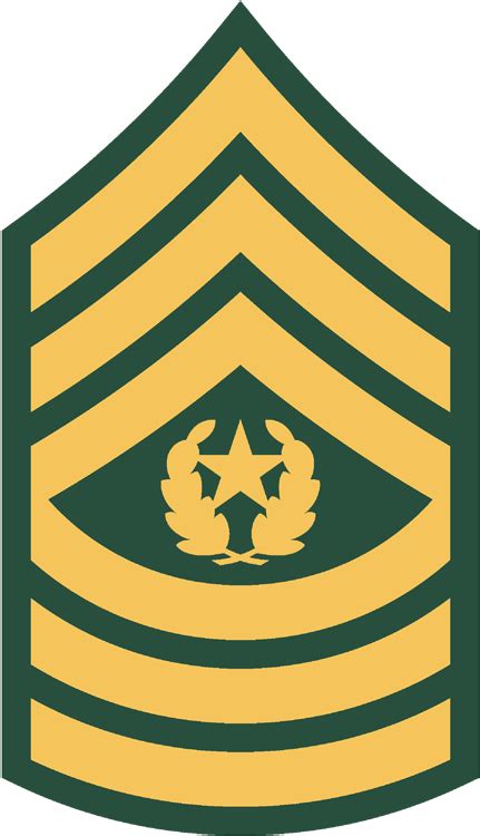 E 9 Csm Command Sergeant Major Clipart Full Size Clipart 2276285