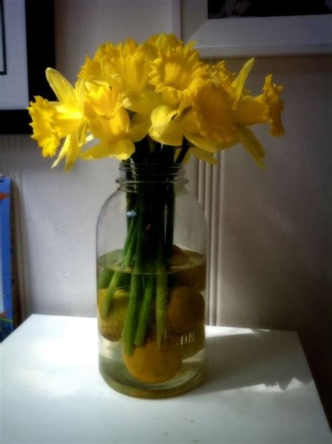 Daffodils Mason Jar Diy Extra Large Mason Jars Jar Vase