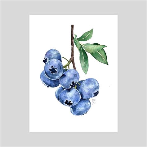 Blueberry Branch In Watercolor An Art Print By Luli Reis Art Prints