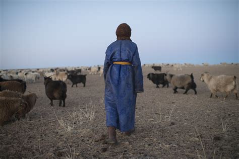 Can you imagine living without electricity or at least living without being plugged into the grid? Mongolian Nomads, Nomadic life Mongolia, photos by Sven ...