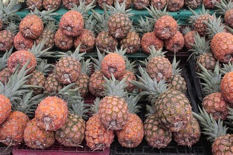 Pineapple Gallery Fruit · Free Photo On Pixabay