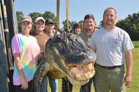 Giant 723½ Pound Alligator Only Held Mississippi State Record For One Hour