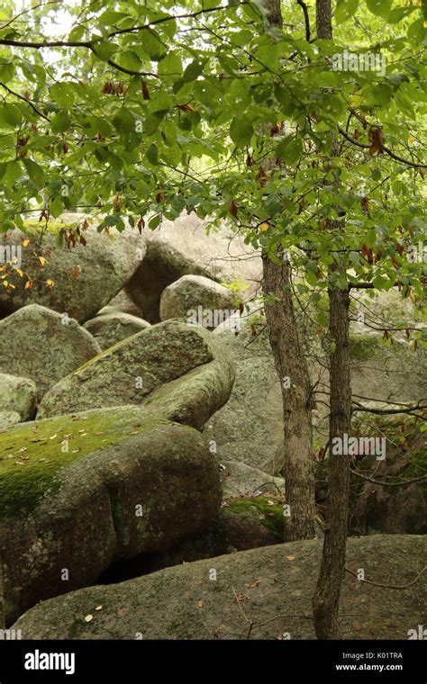 Lichen Covered Boulders Hi Res Stock Photography And Images Alamy