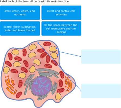 We did not find results for: IXL | Animal cell diagrams: label parts | 5th grade science