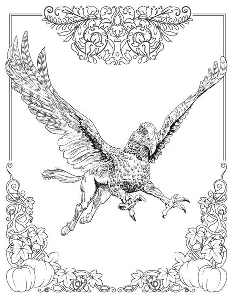 Harry potter fluffy coloring pages copy harry potter coloring book. 224 best images about Coloriage HARRY POTTER on Pinterest
