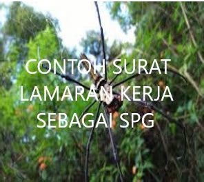 Contoh surat lamaran kerja indomaret. Contoh Surat Lamaran Kerja Yang Menarik Perhatian Pimpinan ...