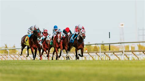 Hold Your Horses A Day At Woodbine Racetrack Foodism To