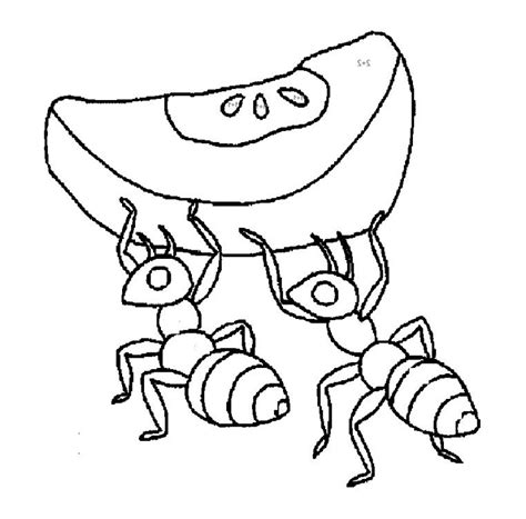 Maybe you would like to learn more about one of these? Ants Coloring Pages - Coloring Home