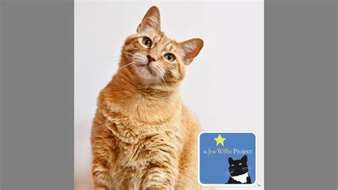 The object of this newspaper is not only independence, but permanence. see more of the sacramento bee on facebook. Pet of the week at the SPCA: Rolly Polly | The Sacramento Bee