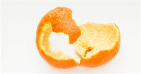 How To Eat An Orange Peel Our Everyday Life