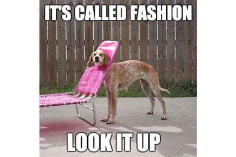 Funny Fashion Meme Pictures