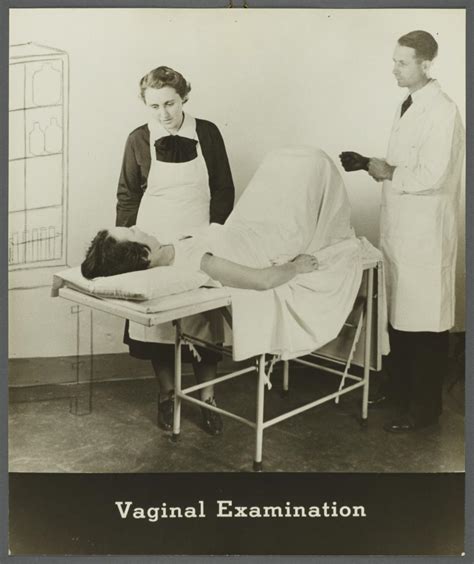 Womens Health Examination Portfolio Vaginal Examination Community