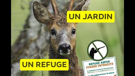 ⛔️ Interdire La Chasse Chez Soi Refuge Aspas 🦌🦆 Youtube