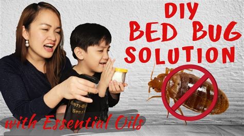 Diy Bed Bug Solution Youtube