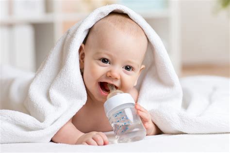 When making your own baby food, what should you serve? When Can Babies Drink Water And How To Feed It To Them ...