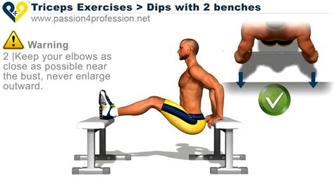 Dips With 2 Benches Triceps Exercises Youtube