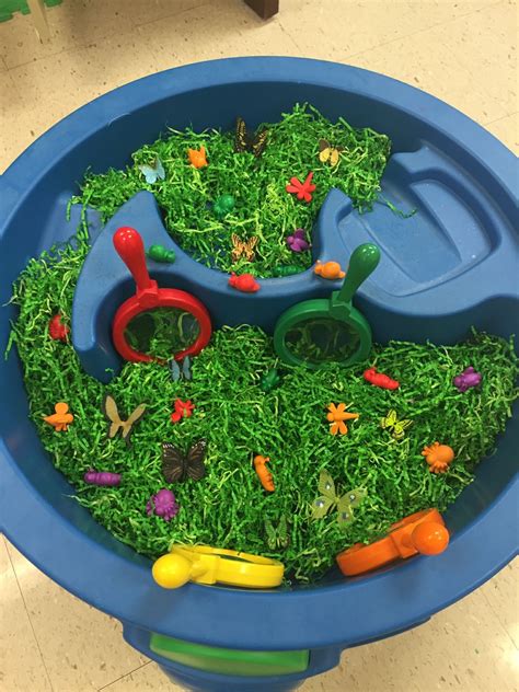 Bugs sensory table | Einfache gerichte