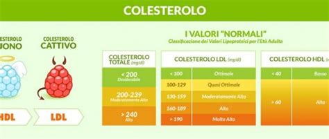 Alimenti da eliminare dalla dieta. Alimenti per aumentare il colesterolo buono SHIKAKUTORU.INFO