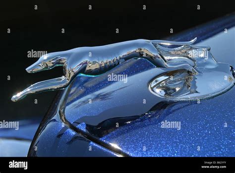 racing greyhound hood ornament Stock Photo - Alamy