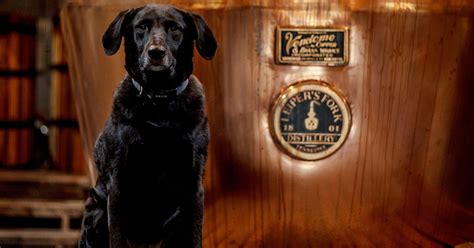 Check spelling or type a new query. Leiper's Fork Distillery - Spirit of Tennessee - The ...