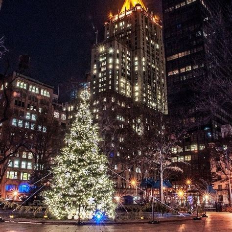 Madison Square Park at Xmas time | Holiday decor, Madison square, Xmas